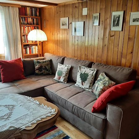 Chalet Am Fels Innertkirchen Esterno foto