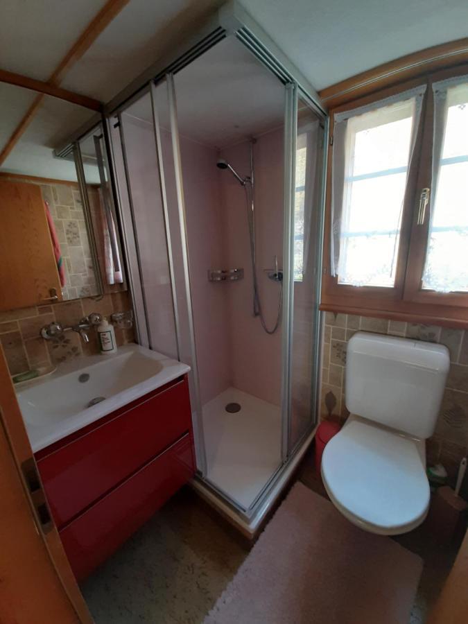 Chalet Am Fels Innertkirchen Esterno foto